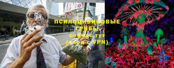 твердый Белокуриха